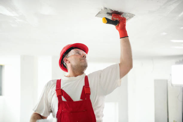 Best Touch-Up Painting  in Addison, WV